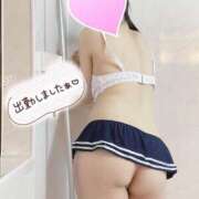 ヒメ日記 2025/09/30 16:00 投稿 国仲　まえび エテルナ京都