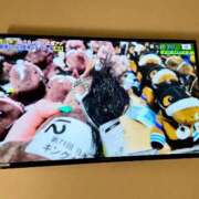 ヒメ日記 2025/01/12 01:49 投稿 育井野 くすな やみつきエステ 渋谷店