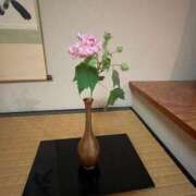 ヒメ日記 2025/09/27 21:06 投稿 育井野 くすな やみつきエステ 渋谷店