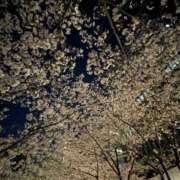 育井野 くすな 🌟大好評です やみつきエステ 渋谷店