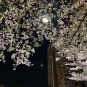 ヒメ日記 2026/04/16 21:29 投稿 育井野 くすな やみつきエステ 渋谷店