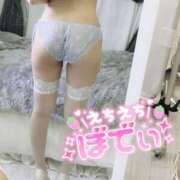 ヒメ日記 2024/12/29 13:01 投稿 もか 山梨　デリヘル No.1 『Sコレクション』 甲府