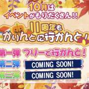 ヒメ日記 2024/10/02 21:00 投稿 つぼみ かりんと秋葉原