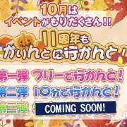 ヒメ日記 2024/10/14 10:55 投稿 つぼみ かりんと秋葉原