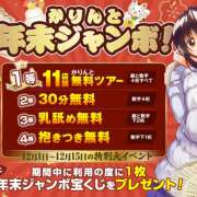 ヒメ日記 2024/12/01 12:10 投稿 つぼみ かりんと秋葉原