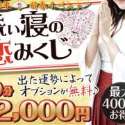 ヒメ日記 2025/01/09 18:33 投稿 つぼみ かりんと秋葉原