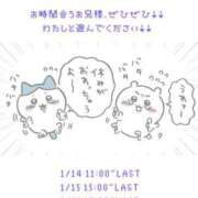 ヒメ日記 2024/01/13 20:19 投稿 みい アネックスジャパン