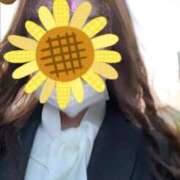 ヒメ日記 2025/08/14 23:13 投稿 ももな 手コキガールズコレクション