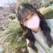 ヒメ日記 2025/04/05 12:03 投稿 あすみ SCREEN(スクリーン)