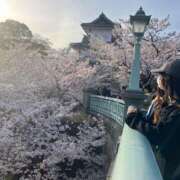 ヒメ日記 2025/04/11 19:54 投稿 ちさと チューリップ福井別館