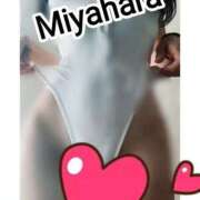 ヒメ日記 2025/02/15 16:27 投稿 宮原 変態美熟女お貸しします。