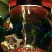 ヒメ日記 2025/02/20 07:57 投稿 宮原 変態美熟女お貸しします。