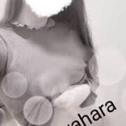 ヒメ日記 2025/04/03 10:57 投稿 宮原 変態美熟女お貸しします。