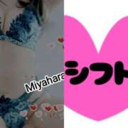 ヒメ日記 2025/04/05 07:27 投稿 宮原 変態美熟女お貸しします。