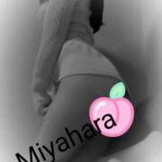 ヒメ日記 2025/04/14 08:27 投稿 宮原 変態美熟女お貸しします。