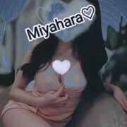 ヒメ日記 2025/04/15 08:07 投稿 宮原 変態美熟女お貸しします。