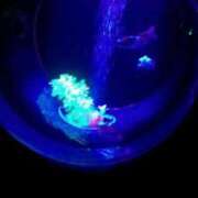 ヒメ日記 2025/04/17 17:37 投稿 宮原 変態美熟女お貸しします。