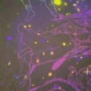 ヒメ日記 2025/07/17 07:57 投稿 宮原 変態美熟女お貸しします。