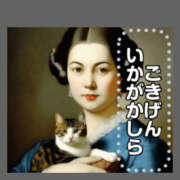 ヒメ日記 2025/07/18 15:17 投稿 宮原 変態美熟女お貸しします。