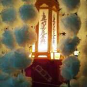 ヒメ日記 2025/07/20 07:17 投稿 宮原 変態美熟女お貸しします。