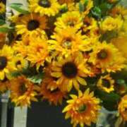 ヒメ日記 2025/08/01 09:17 投稿 宮原 変態美熟女お貸しします。