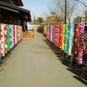 ヒメ日記 2025/08/29 11:51 投稿 宮原 変態美熟女お貸しします。