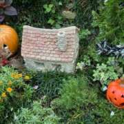 ヒメ日記 2025/09/26 09:47 投稿 宮原 変態美熟女お貸しします。