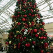 ヒメ日記 2025/11/13 13:07 投稿 宮原 変態美熟女お貸しします。