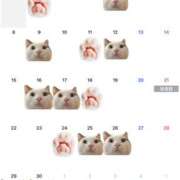 ななこ ✨6月の予定✨ フォーシーズン
