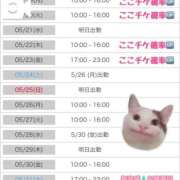 ヒメ日記 2025/05/25 22:52 投稿 持田 ここな☆4 TiAmo（ティアモ）