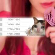 ヒメ日記 2025/06/21 07:12 投稿 持田 ここな☆4 TiAmo（ティアモ）