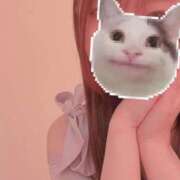 ヒメ日記 2025/07/01 09:52 投稿 持田 ここな☆4 TiAmo（ティアモ）