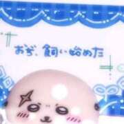 ヒメ日記 2025/11/18 00:02 投稿 持田 ここな☆4 TiAmo（ティアモ）