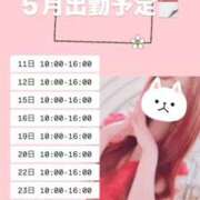 持田 ここな☆4 今後の出勤予定🗓 TiAmo（ティアモ）