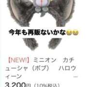 ヒメ日記 2026/07/25 06:12 投稿 持田 ここな☆4 TiAmo（ティアモ）