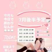 ヒメ日記 2026/07/31 07:22 投稿 持田 ここな☆4 TiAmo（ティアモ）