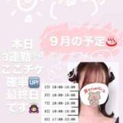 ヒメ日記 2026/09/09 08:22 投稿 持田 ここな☆4 TiAmo（ティアモ）