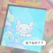 ヒメ日記 2026/09/09 10:43 投稿 持田 ここな☆4 TiAmo（ティアモ）