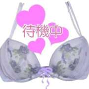 ヒメ日記 2026/04/13 15:38 投稿 しの 川越おかあさん
