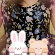 ヒメ日記 2025/04/05 10:38 投稿 ひなこ 川越おかあさん