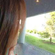 ヒメ日記 2025/03/17 14:42 投稿 ふゆみ 川越おかあさん