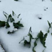 ヒメ日記 2025/03/19 09:28 投稿 ふゆみ 川越おかあさん