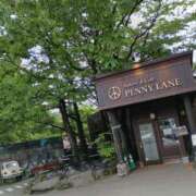 ヒメ日記 2025/05/28 11:58 投稿 ふゆみ 川越おかあさん