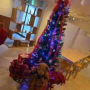 ヒメ日記 2025/11/27 11:28 投稿 ふゆみ 川越おかあさん