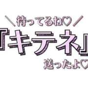 ヒメ日記 2024/04/09 00:08 投稿 ほたる 川越おかあさん