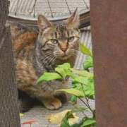 ヒメ日記 2024/06/14 16:58 投稿 ほたる 川越おかあさん