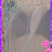 ヒメ日記 2024/12/18 11:18 投稿 ほたる 川越おかあさん