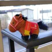 ヒメ日記 2024/12/20 18:28 投稿 ほたる 川越おかあさん