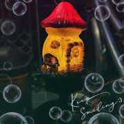 ヒメ日記 2024/12/30 00:08 投稿 ほたる 川越おかあさん