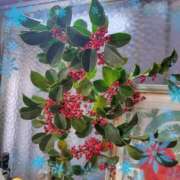 ヒメ日記 2024/12/30 17:58 投稿 ほたる 川越おかあさん